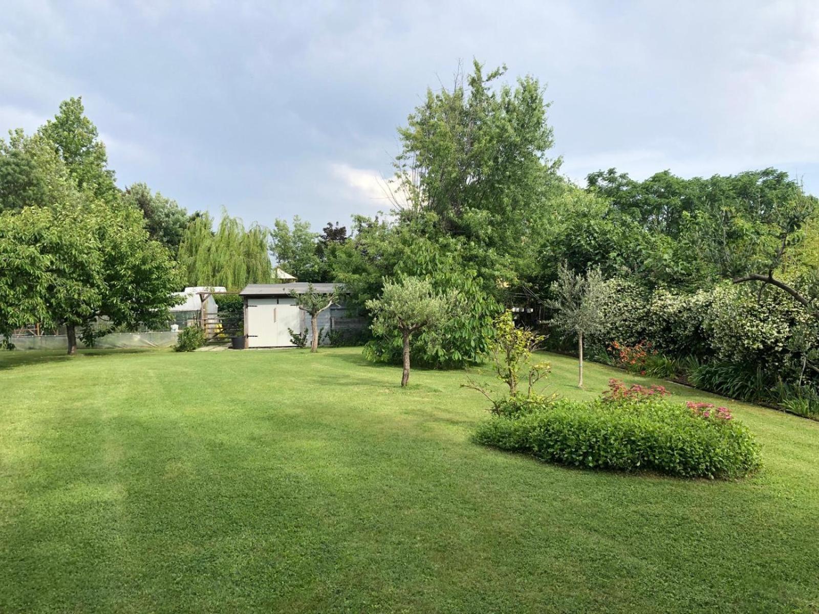 Dalia Villa *